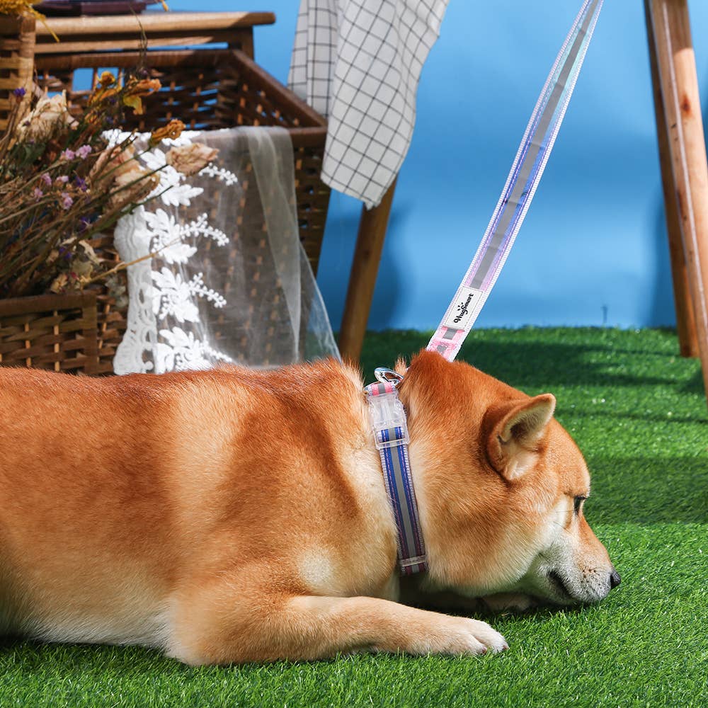 Hugsmart Pet - Dog Leash | Cotton Candy