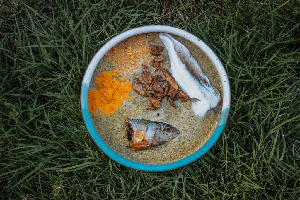 Dehydrated Rabbit Ears: 2 pack - Sample