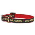 Up Country- SZ 12 Evil Genius Cat Collar