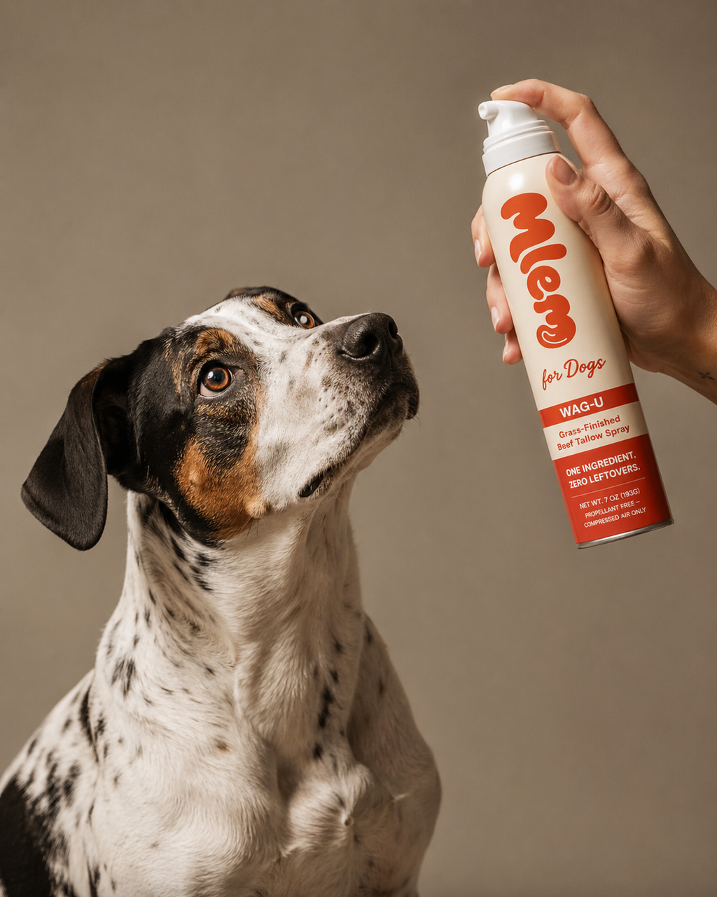 Mlem - Beef Topper Spray for Dogs: WAG-U