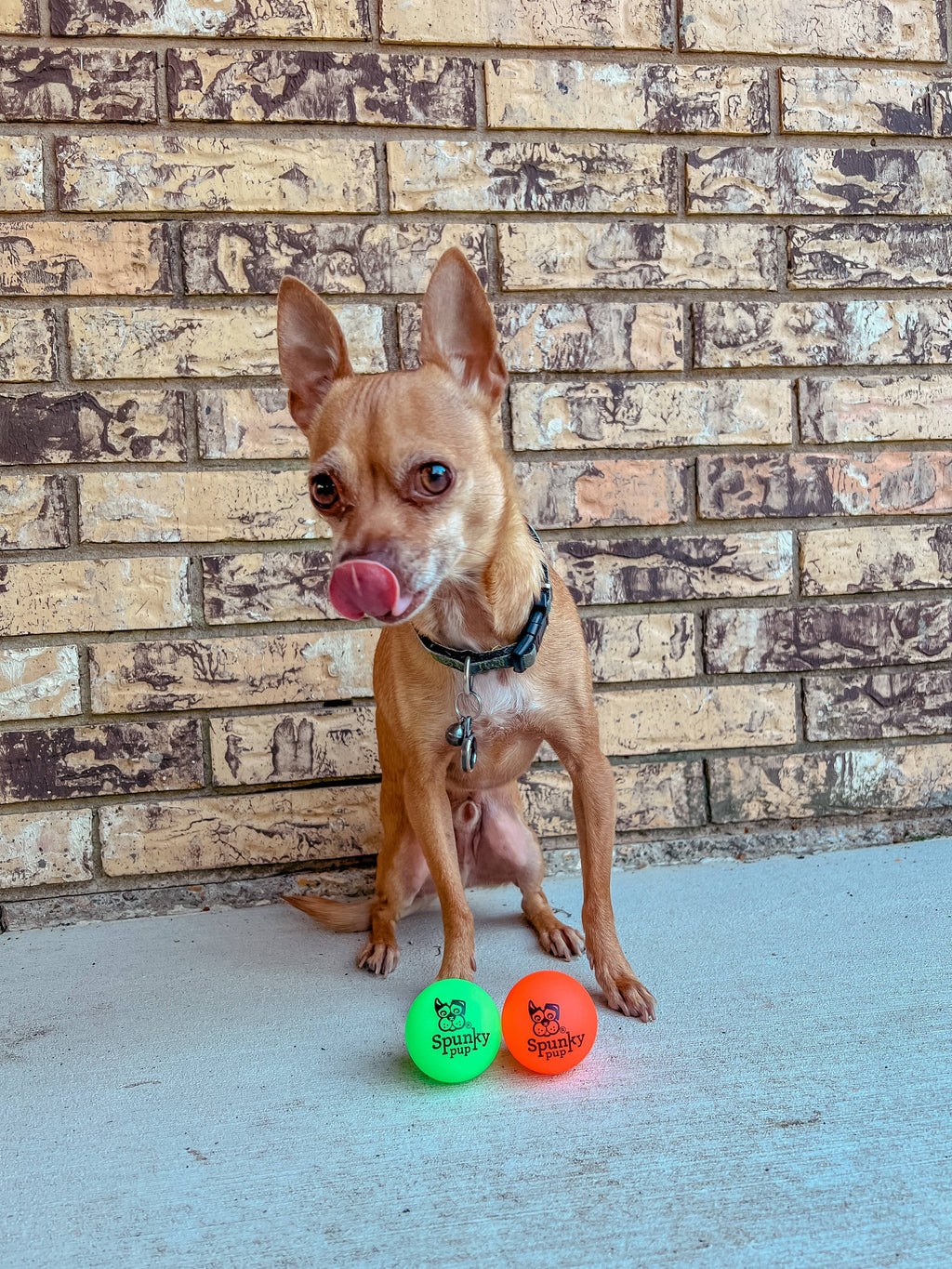 Fetch and Glow Ball