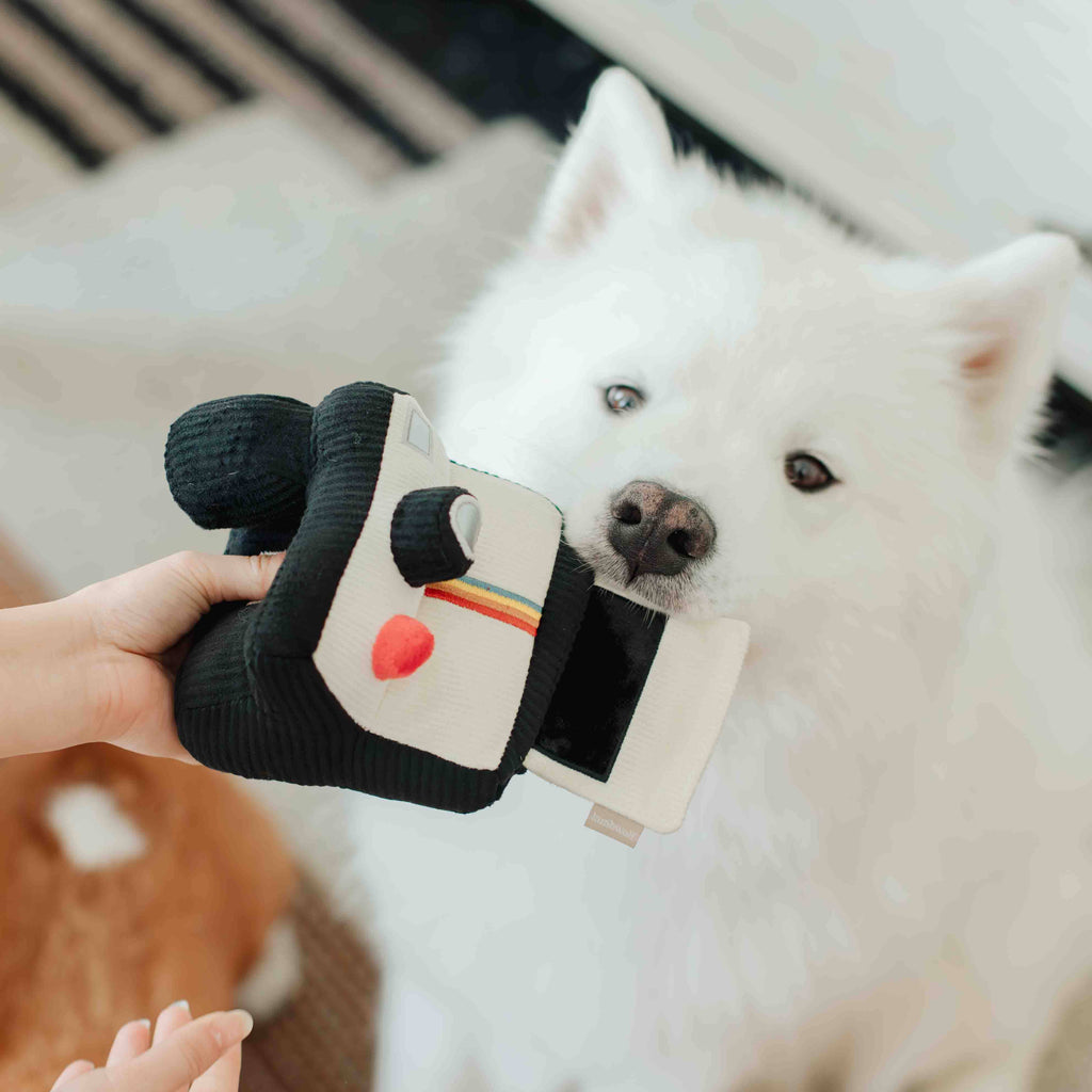 Instant Camera