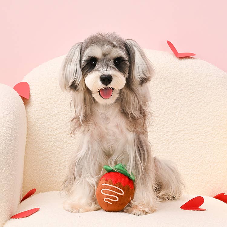 HugSmart Pet - Woof Love | Strawberry Chocolate