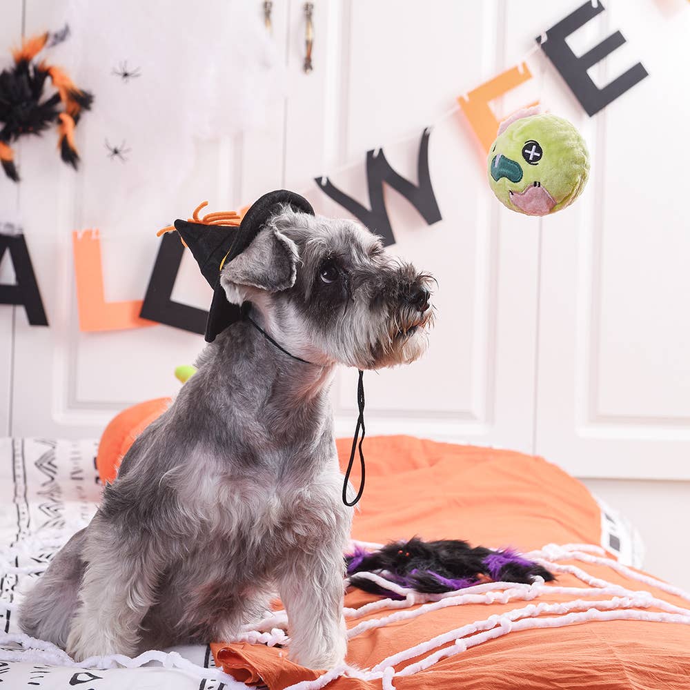 HugSmart Pet | Howloween Night – Zombie - Dog Ball Toy