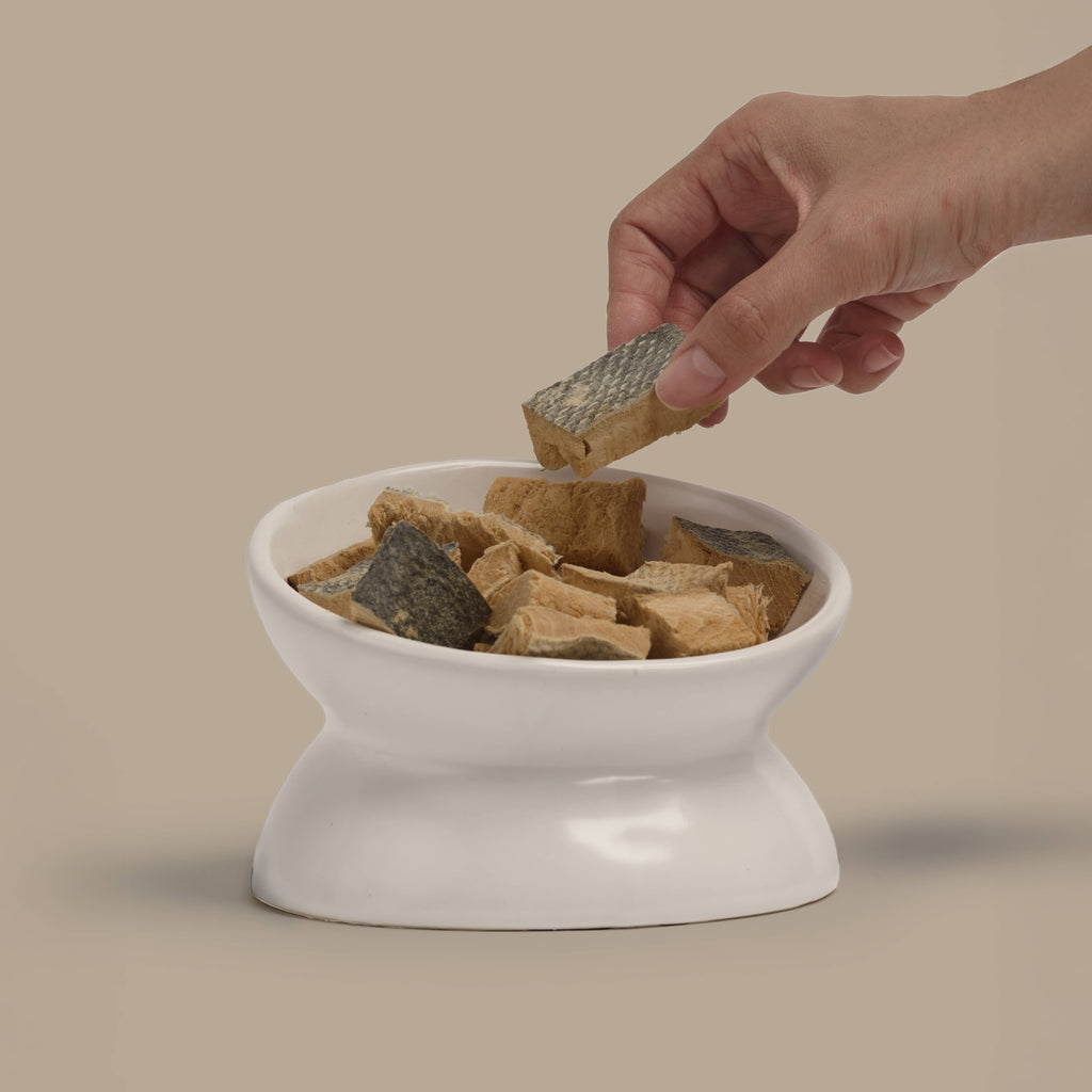 Freeze-Dried Salmon