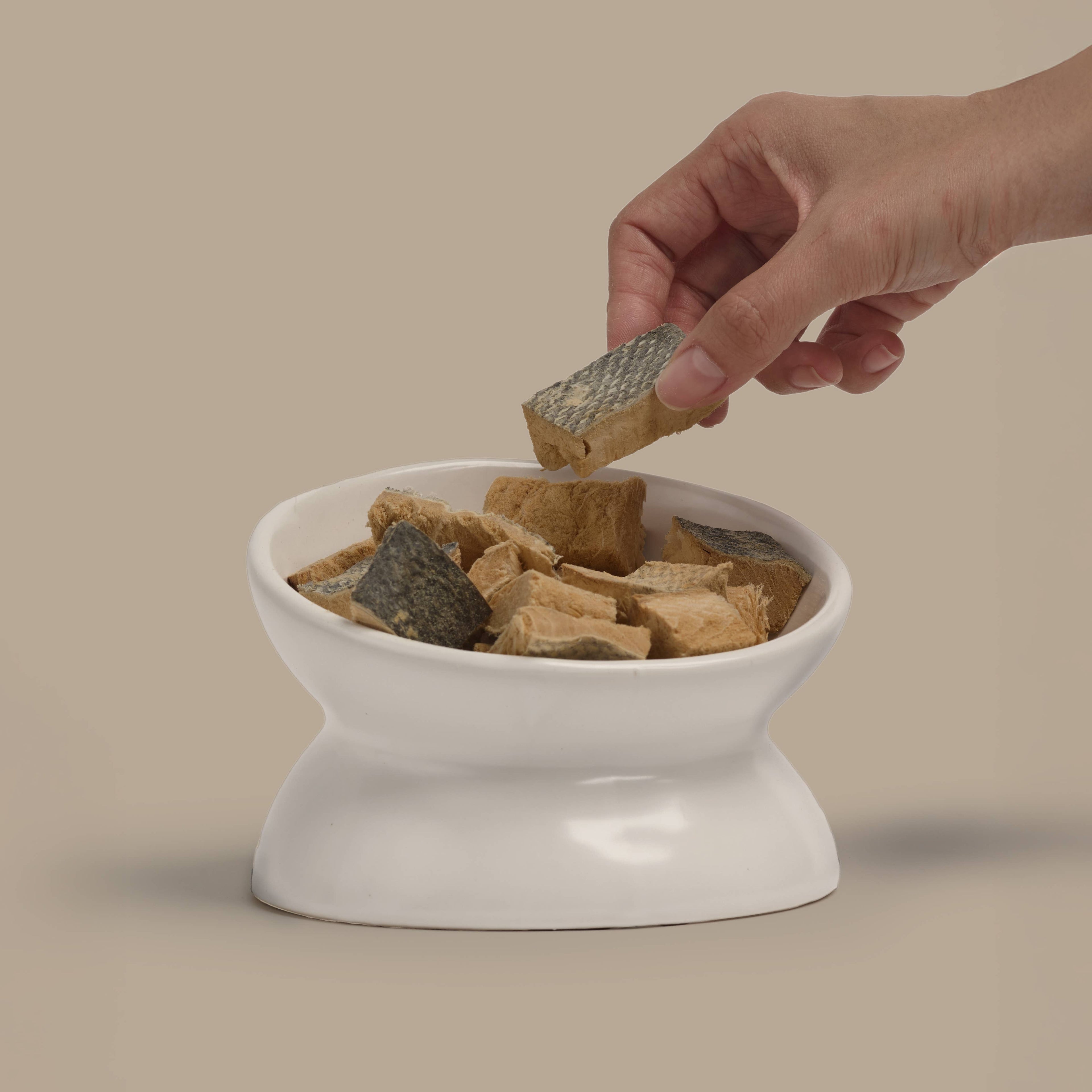 Freeze-Dried Salmon