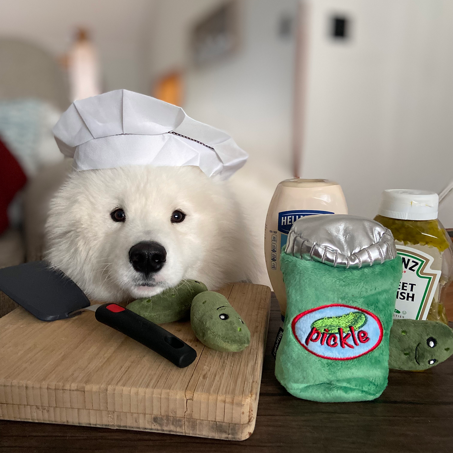 Pickle Jar Hide & Seek Toy