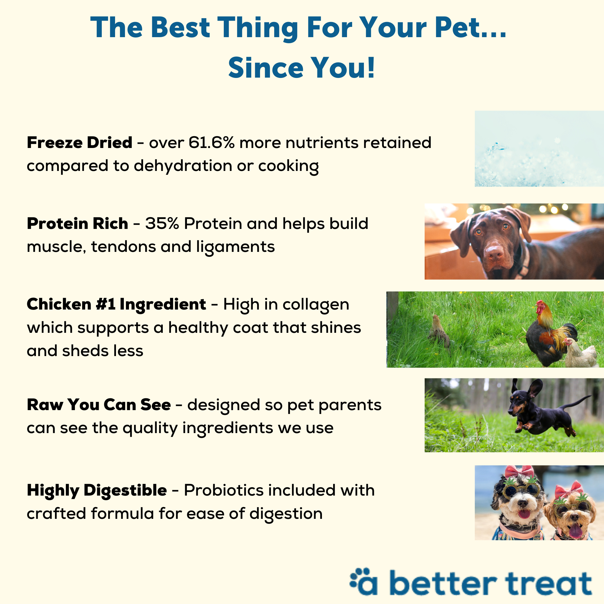 A Better Dog Food Chicken - High Protein - Raw You Can See: 3 lbs