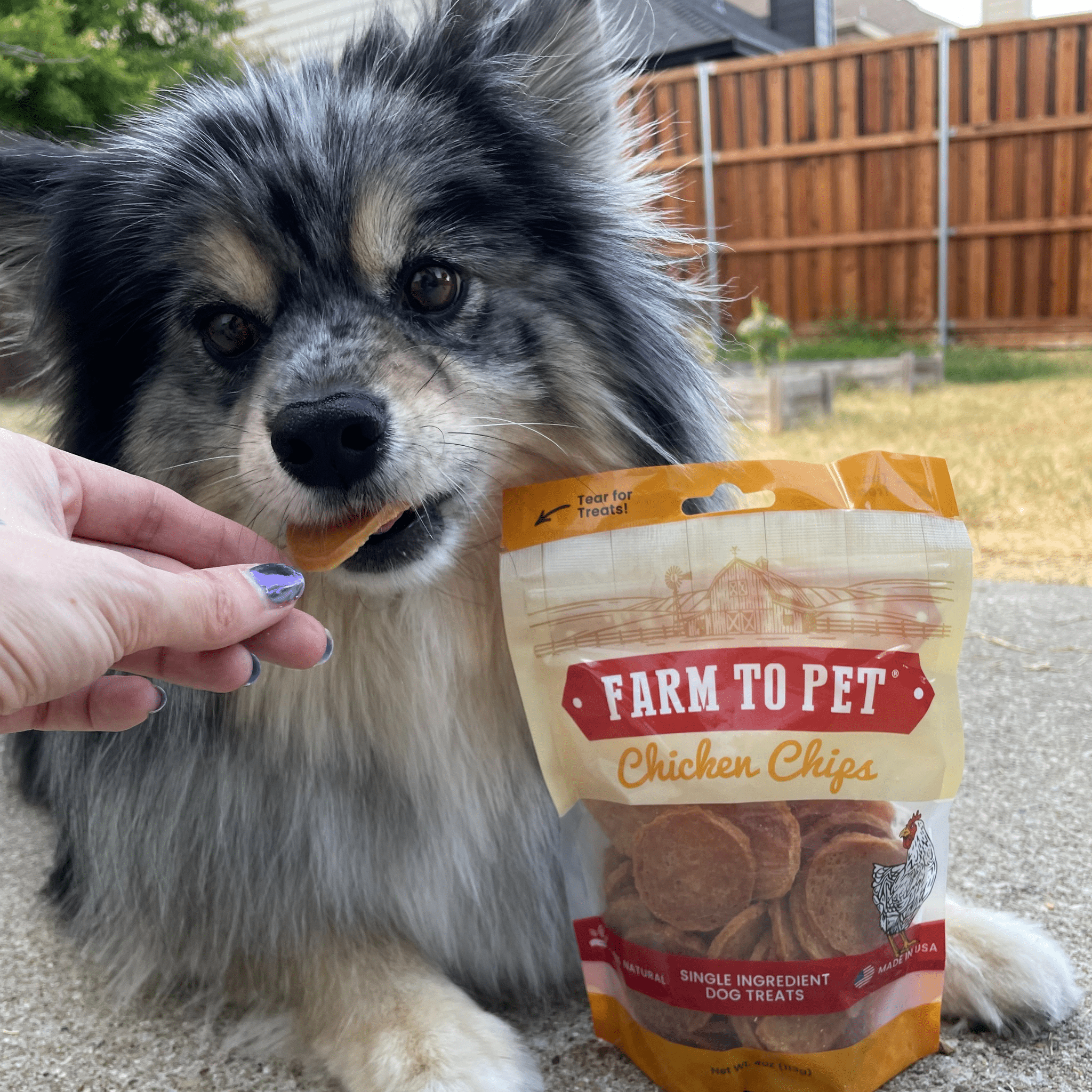 Chicken Chips Dog Treats: 12oz