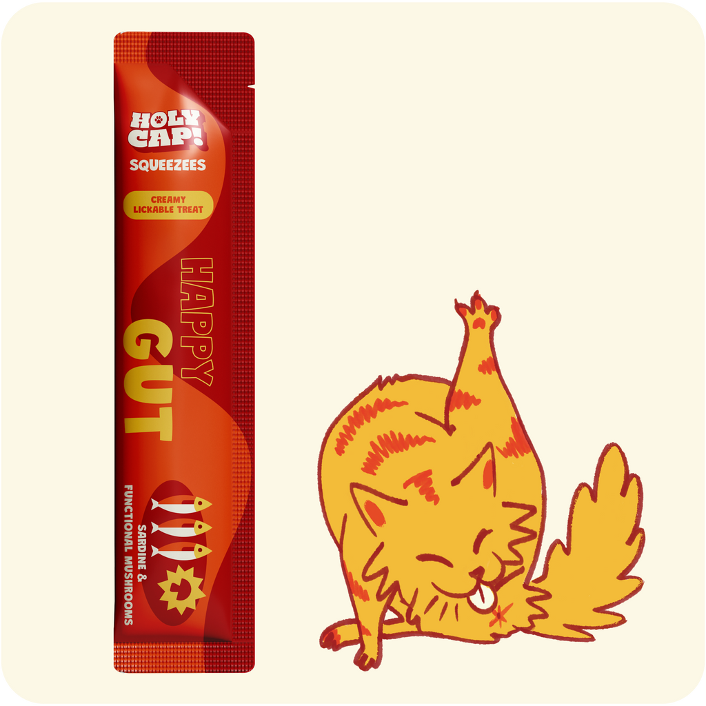 HOLY CAP Squeezees (CAT) Happy Gut Lickable Treats, 5pc