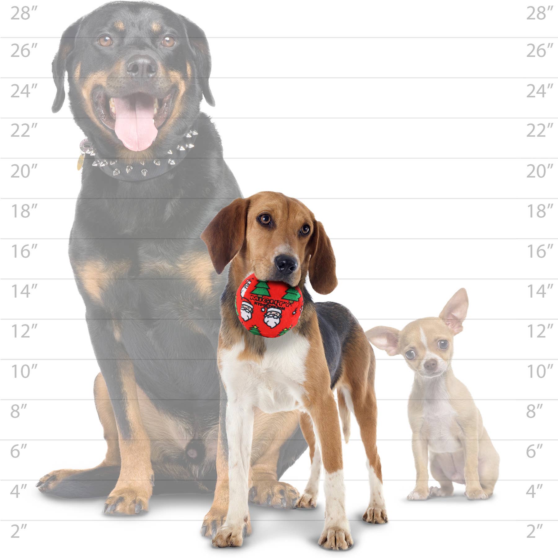 Mighty Ball-Medium Christmas Squeaky Dog Toy, No Stuffing