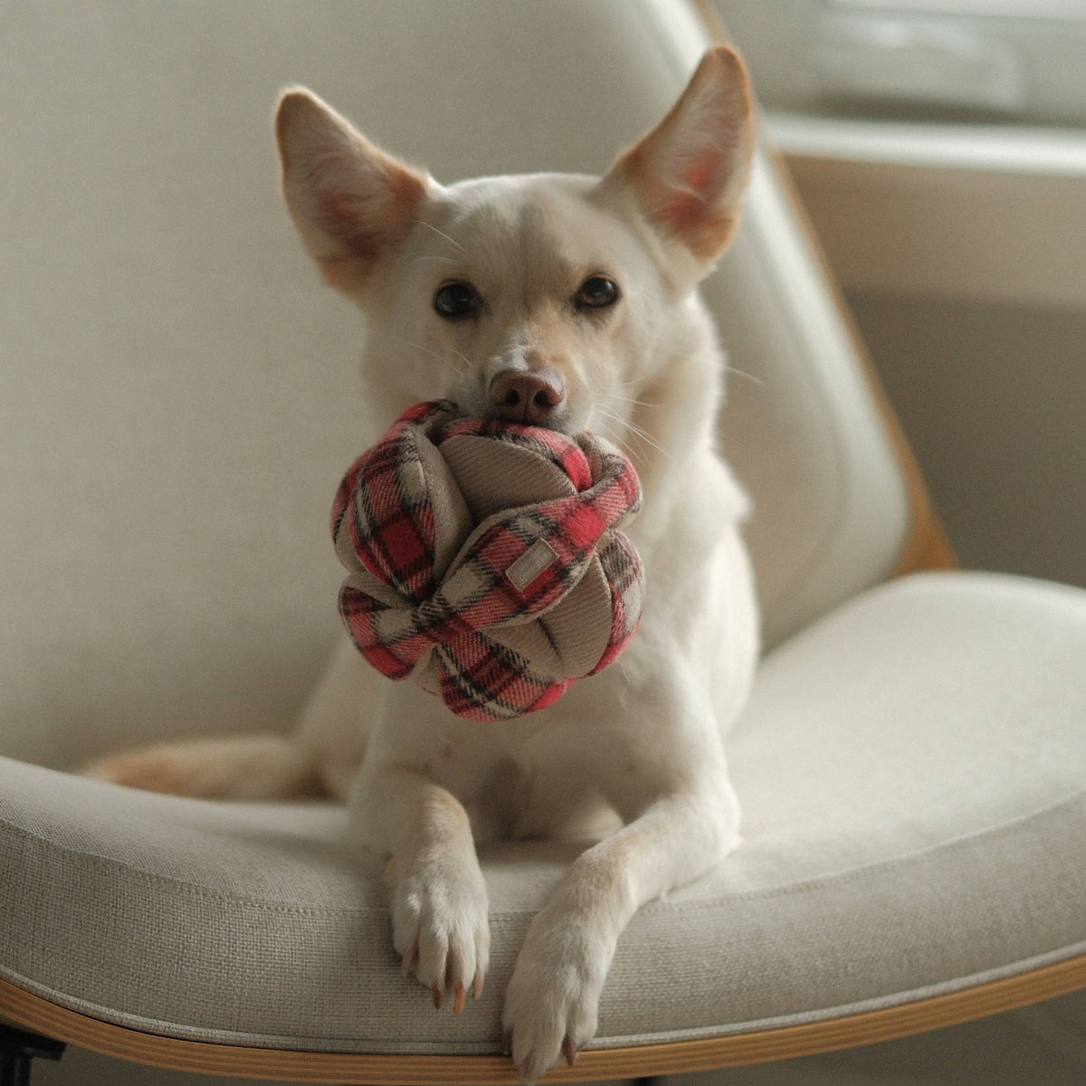 FLANNEL MONTI // ENRICHMENT DOG TOY // HOLIDAY
