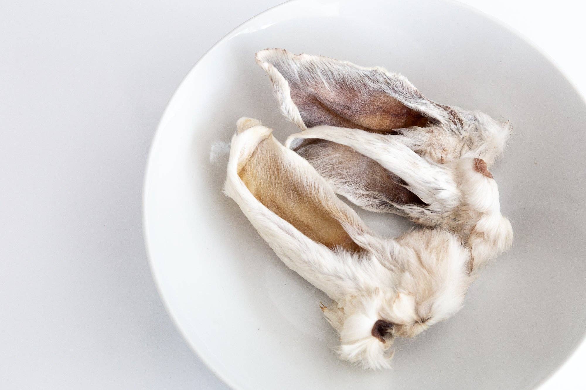 Dehydrated Rabbit Ears: 2 pack - Sample