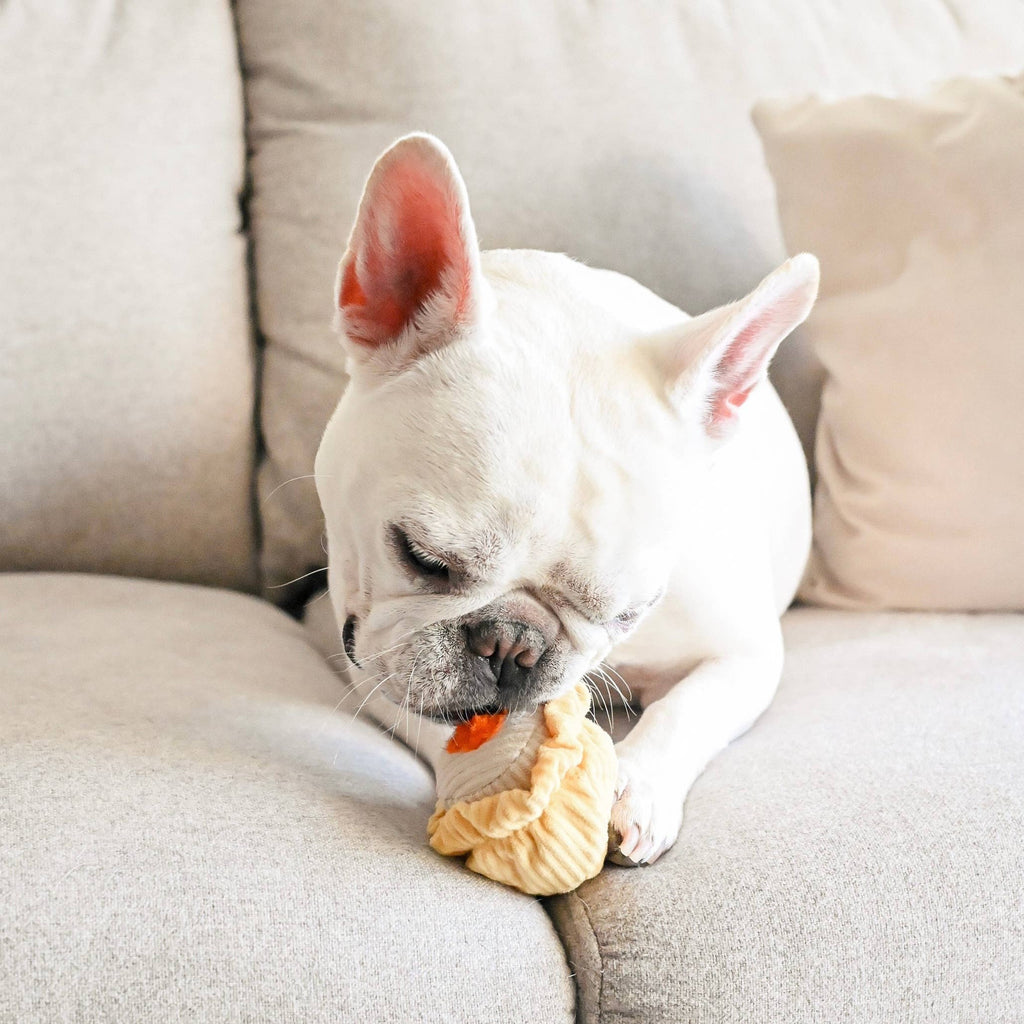 DIM SUM POP // Enrichment dog toy