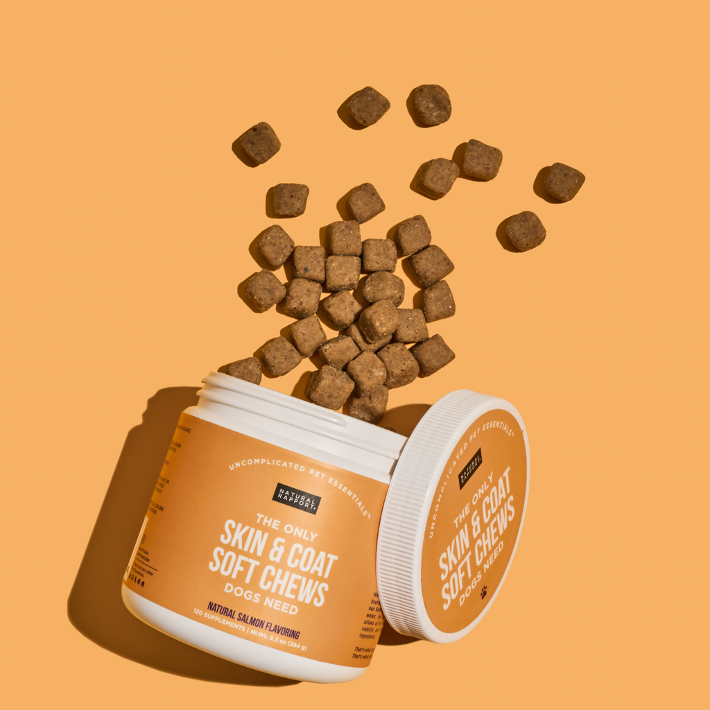 The Only Skin & Coat Soft Chews Dogs Need: 12 count pouch