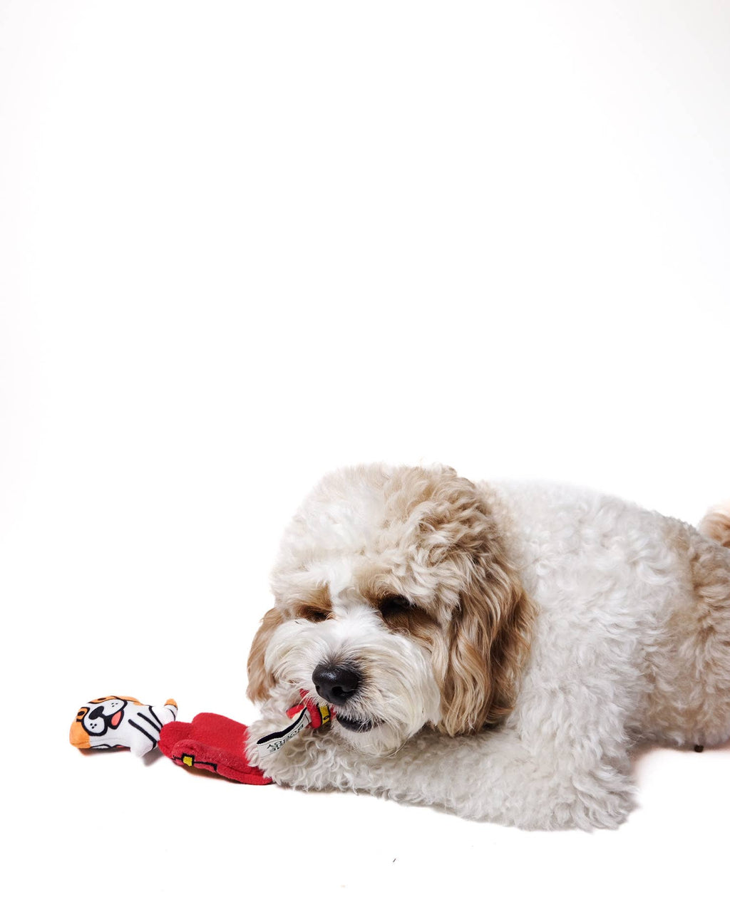 Chicago Marquee Nose Work Dog Toy