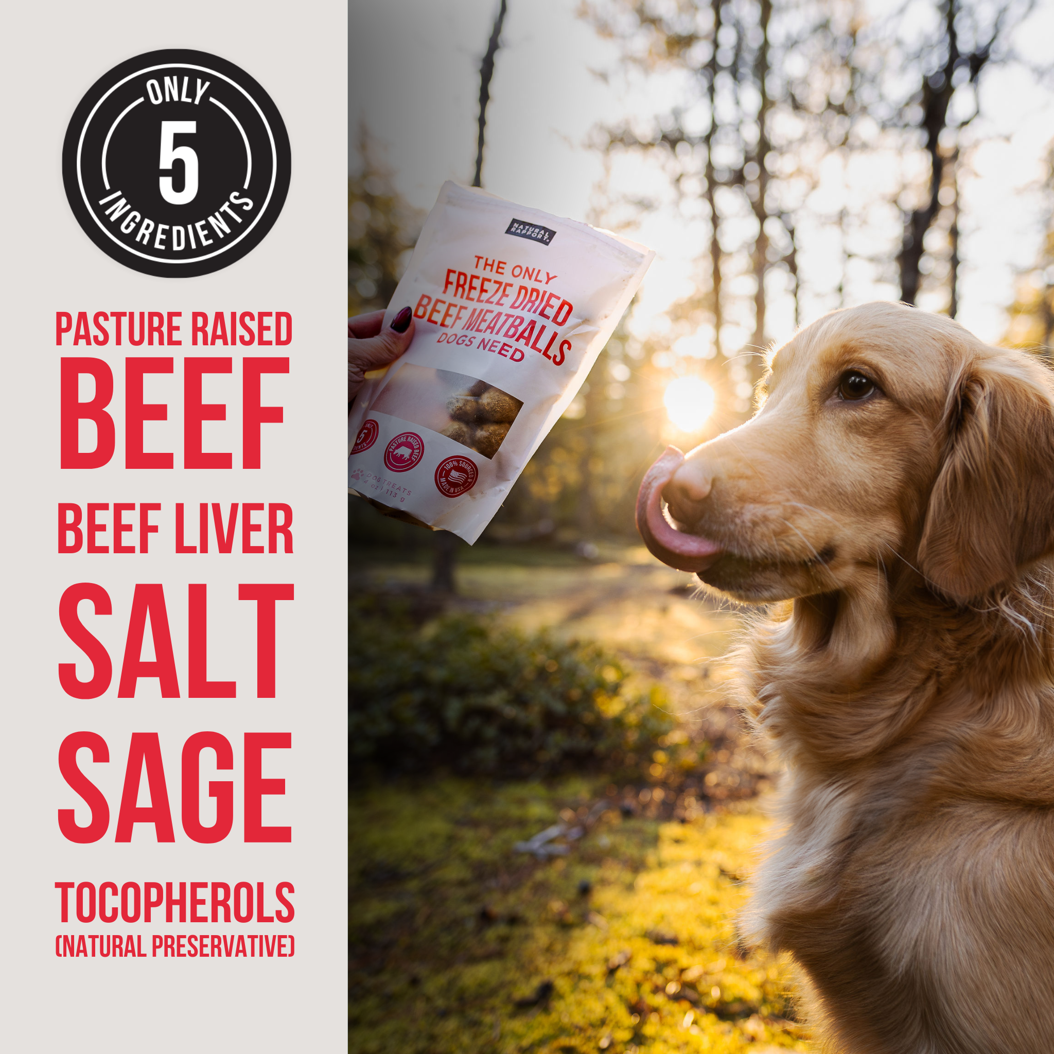 The Only Freeze Dried Beef Meatballs Dogs Need: Sample Bag - Approx. 1 oz