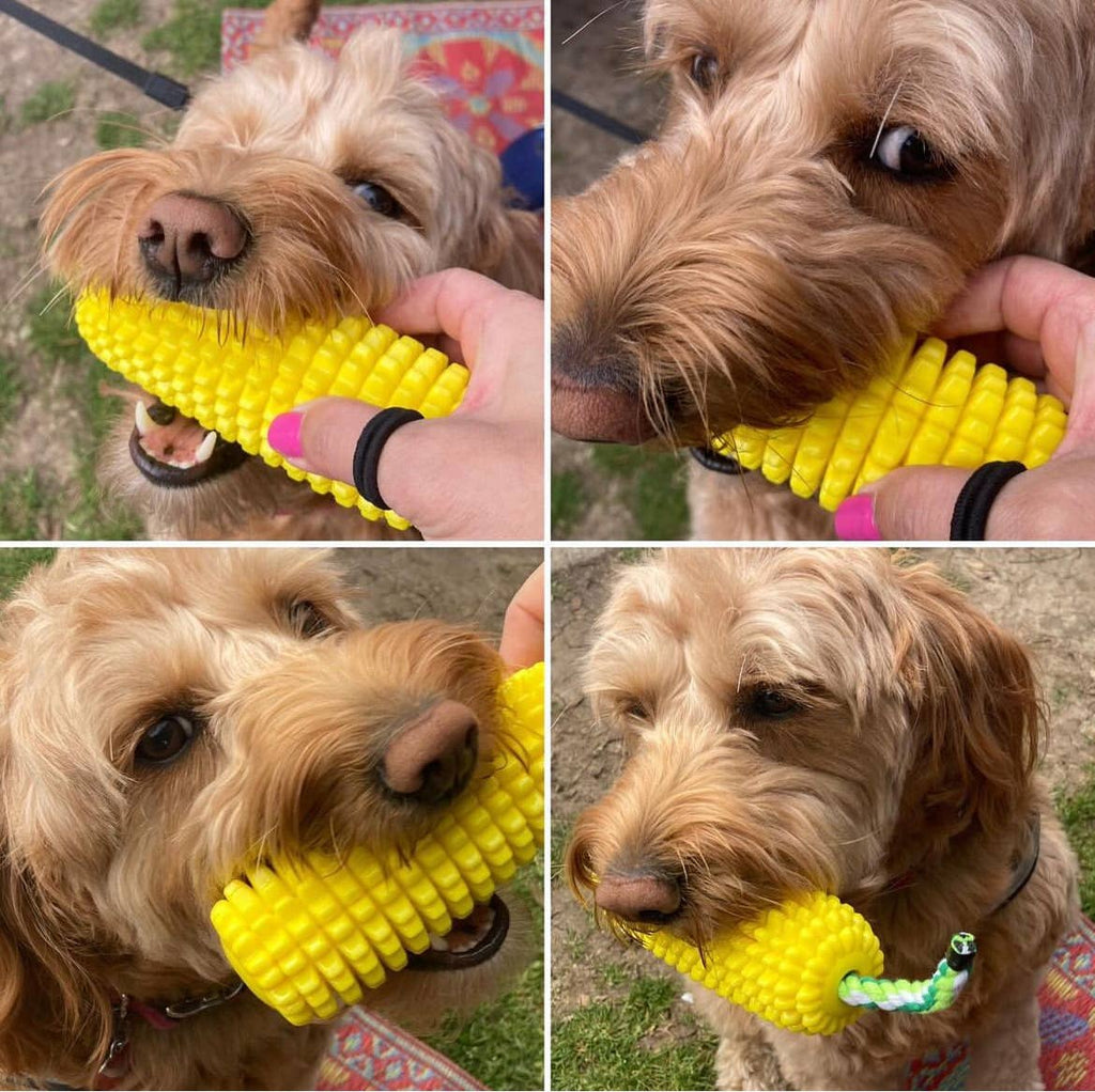 Corn-Shaped Dental Chew Toy