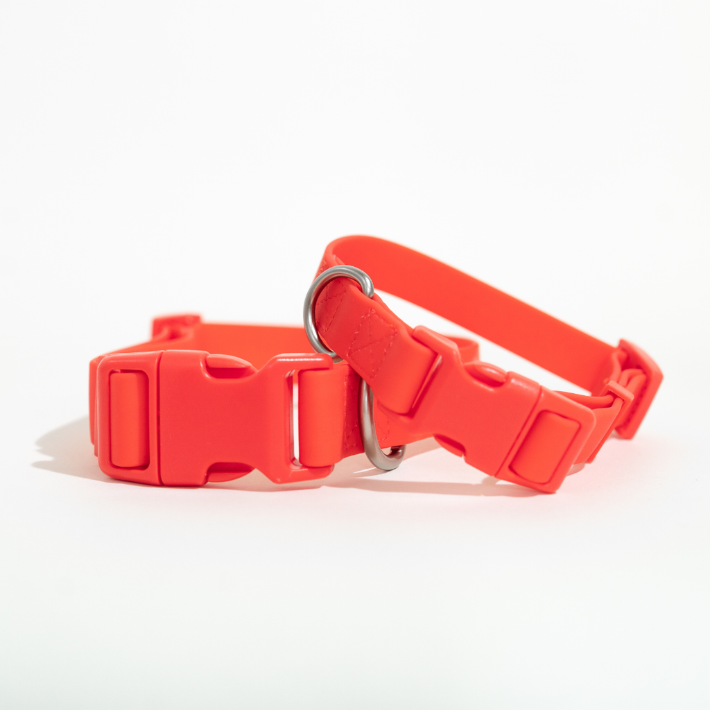 Dog Collar - All-Weather, Adjustable (Large)