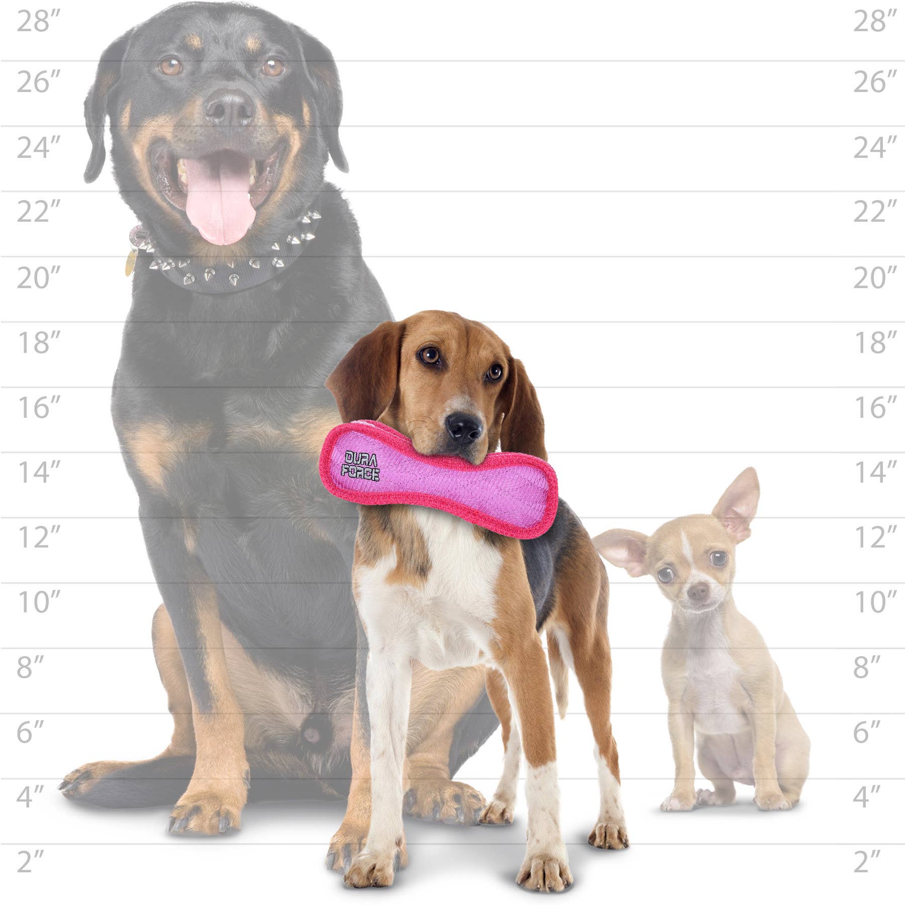 DuraForce Jr Bone Tiger - Pink, Durable, Squeaky Dog Toy