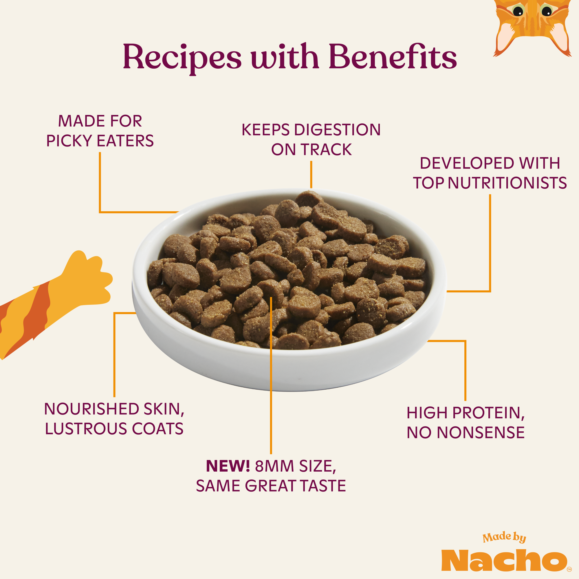 Bone Broth Infused Kibble Sustainably Caught Salmon & Pumpkin Recipe: 4 lb Bag