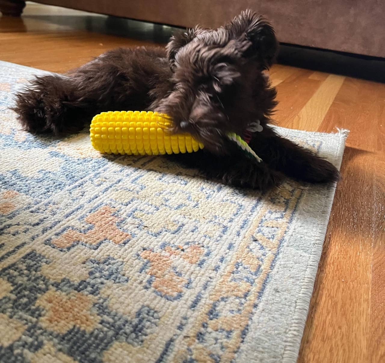Corn-Shaped Dental Chew Toy