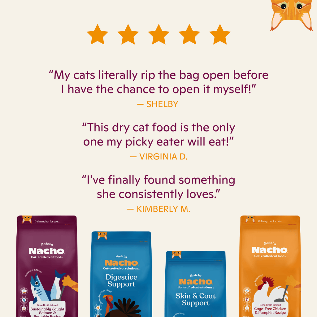 Bone Broth Infused Kibble Sustainably Caught Salmon & Pumpkin Recipe: 4 lb Bag