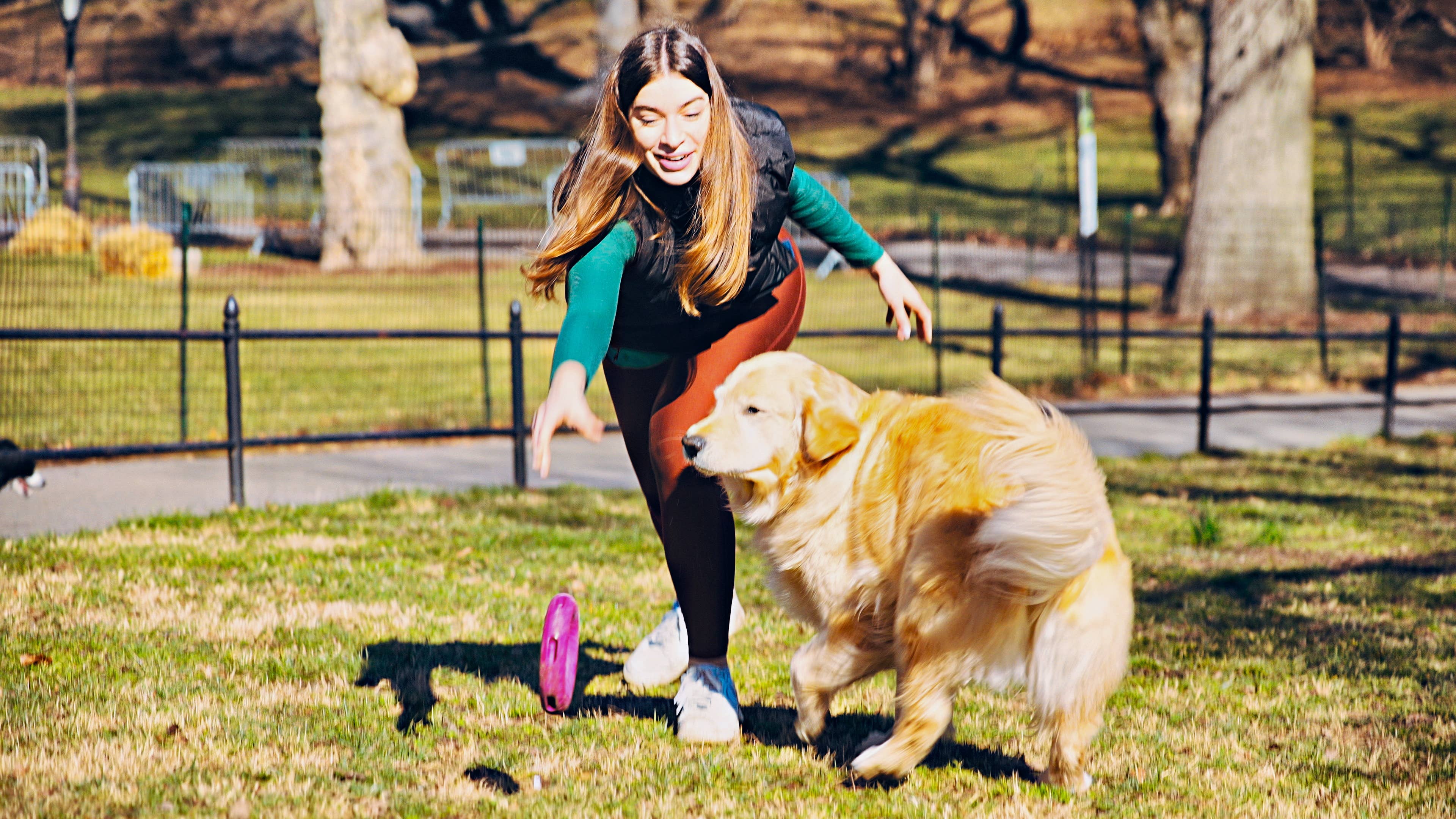 GOAT Sport Ring Dog Toy - Large