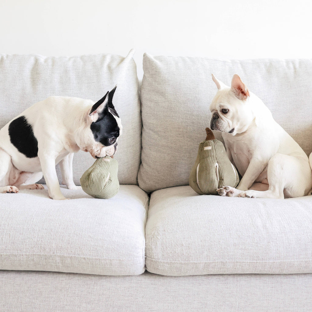 BUTTERNUT // ENRICHMENT DOG TOY // SNUFFLE: L / Squeakers