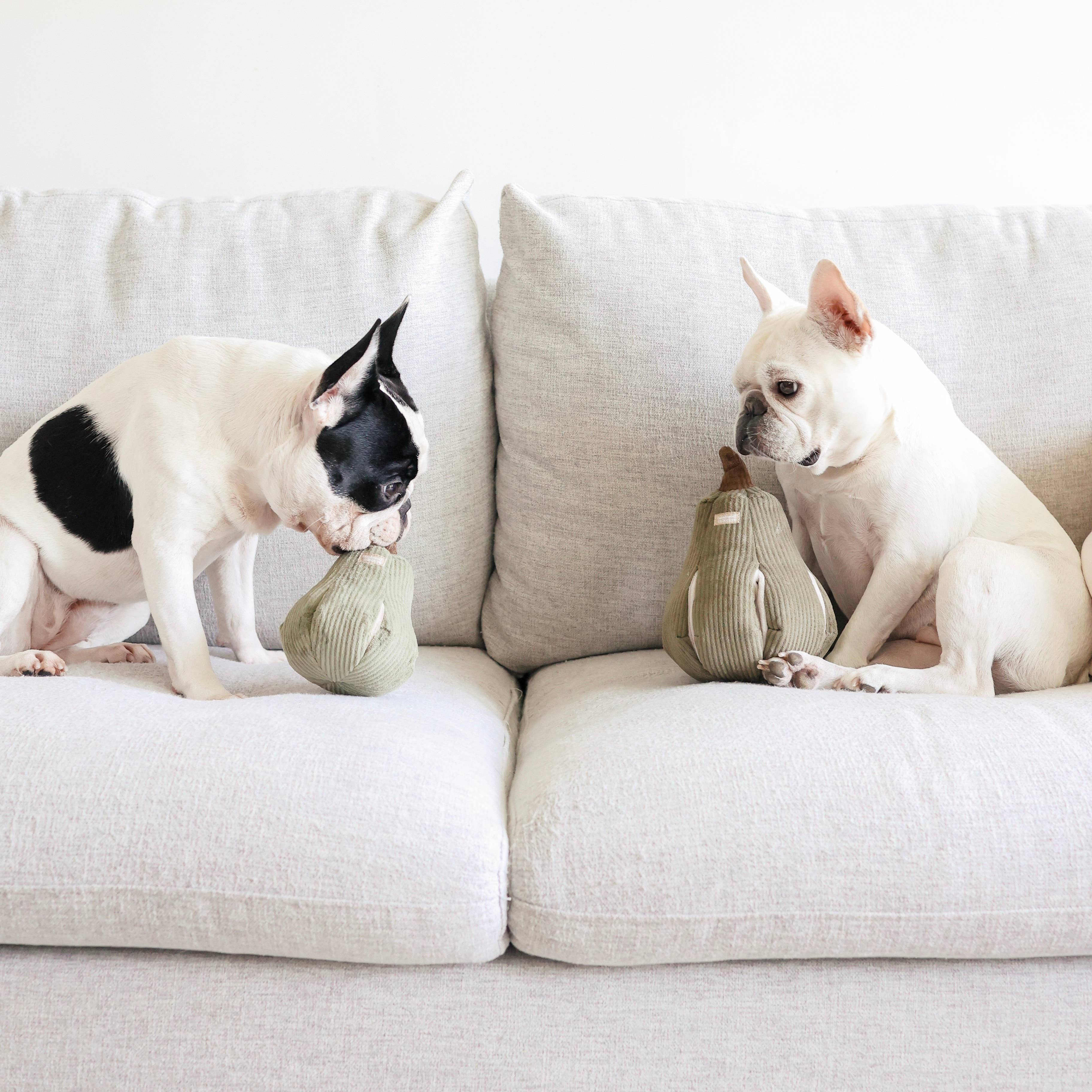 BUTTERNUT // ENRICHMENT DOG TOY // SNUFFLE: L / Squeakers