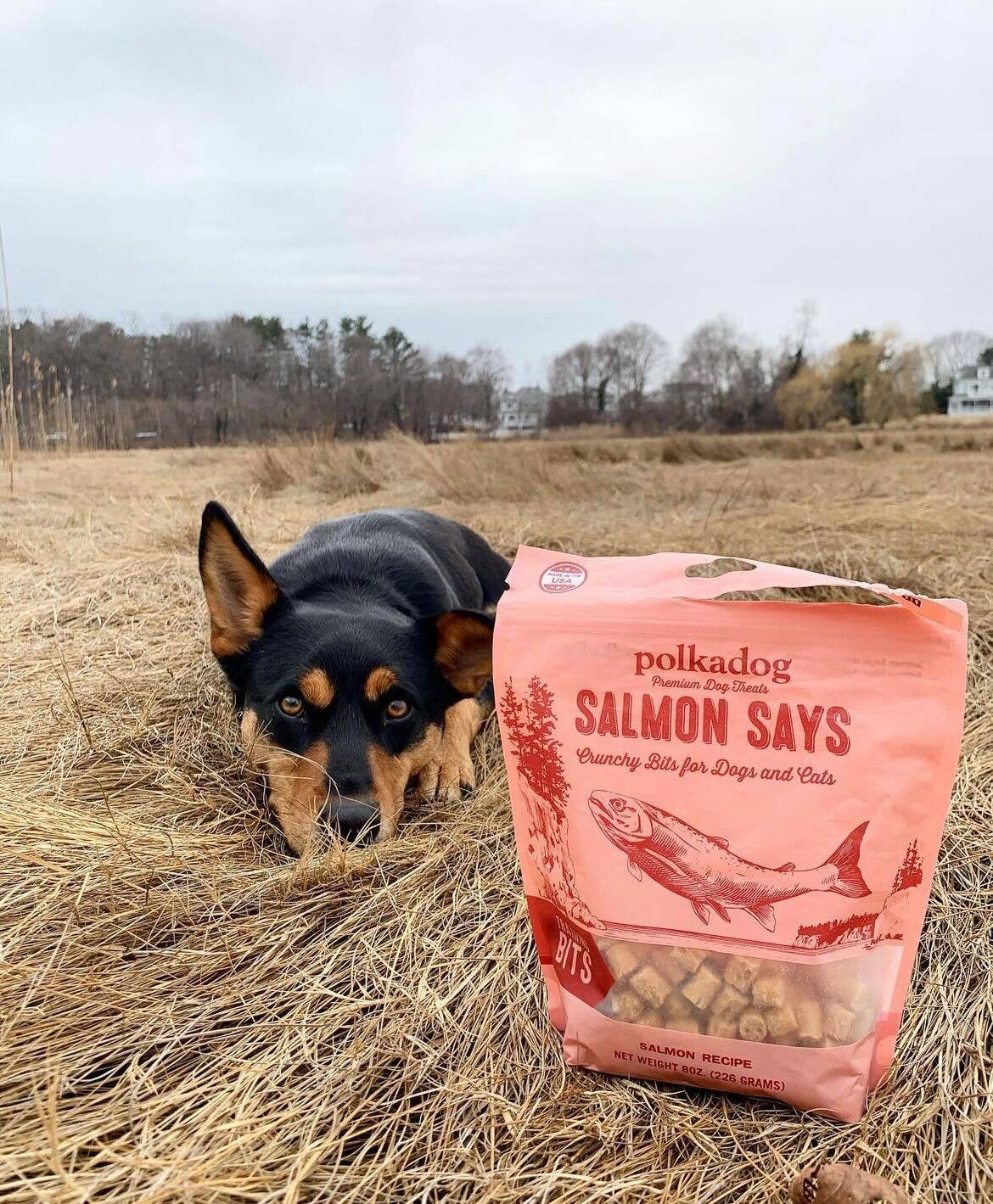 Salmon Says Training Bits - 7oz Bag