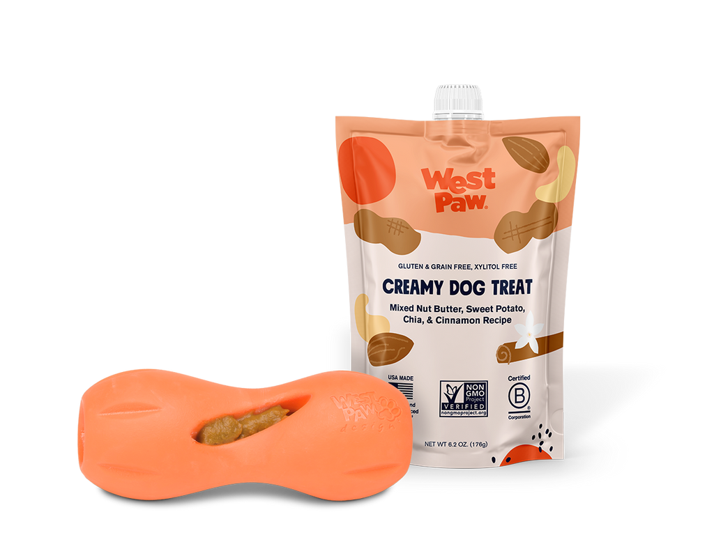 Nut Butter, Sweet Potato & Chia Seed Creamy Treat