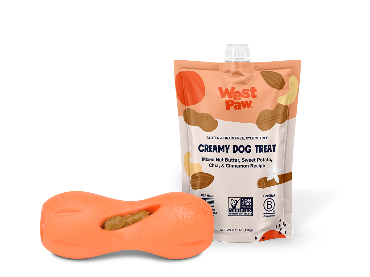 Nut Butter, Sweet Potato & Chia Seed Creamy Treat