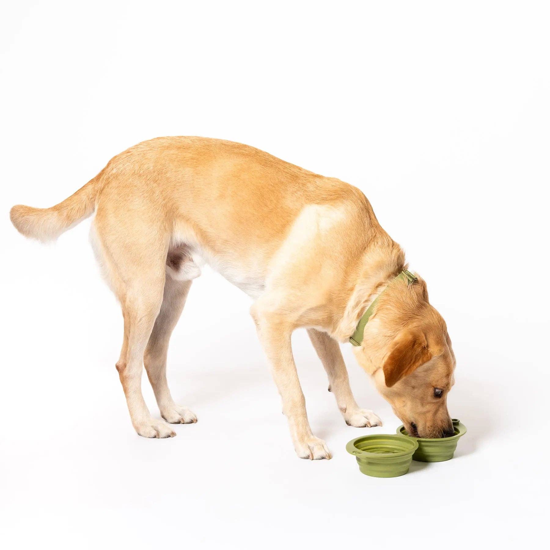 Snack Attack Collapsible Travel Bowl: OLIVE