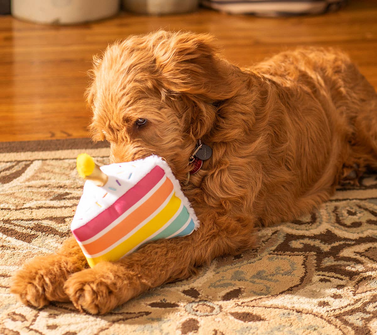 ThoozyPet Birthday 5-Layer Cake Plush Dog Toy 8"