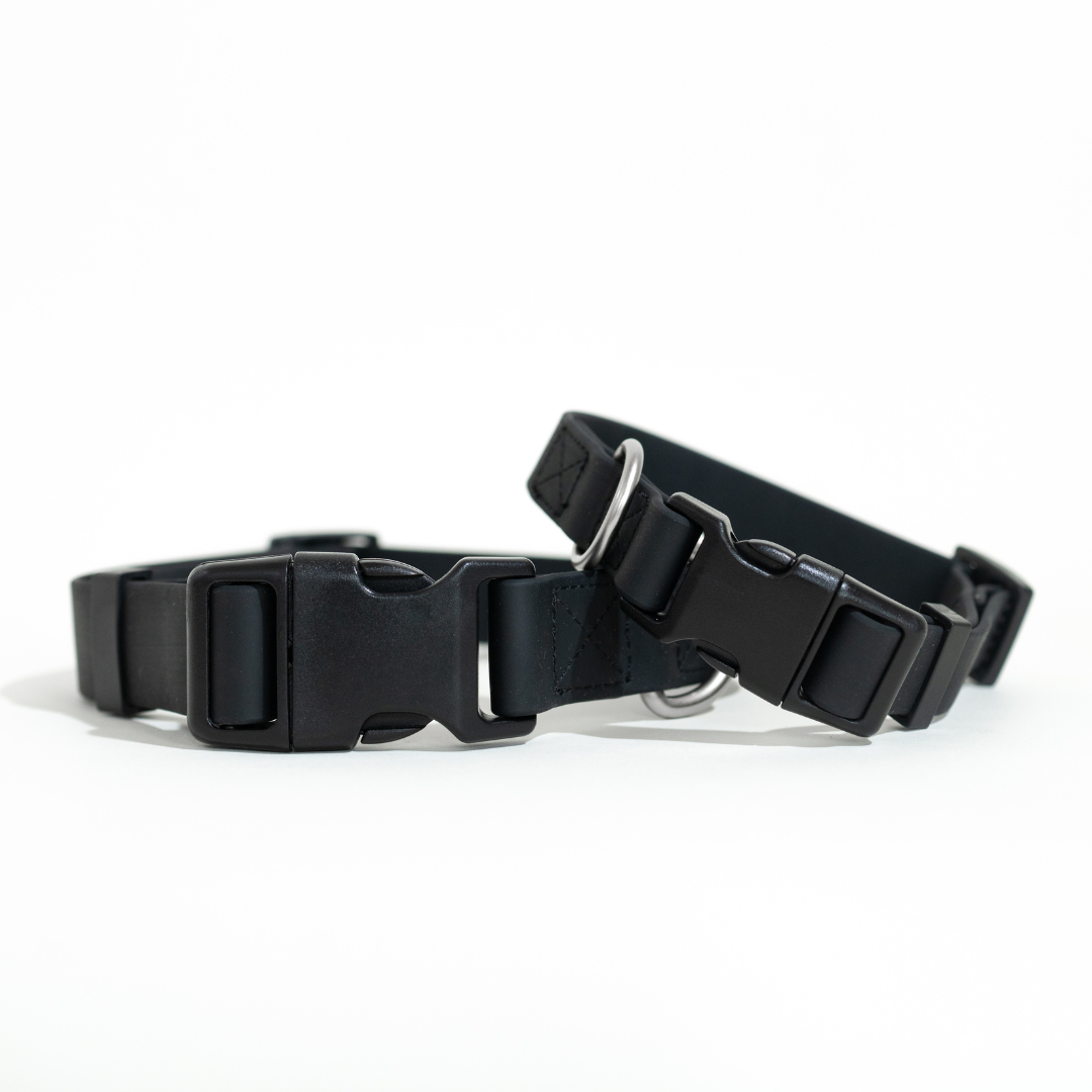 Dog Collar - All-Weather, Adjustable (Large)