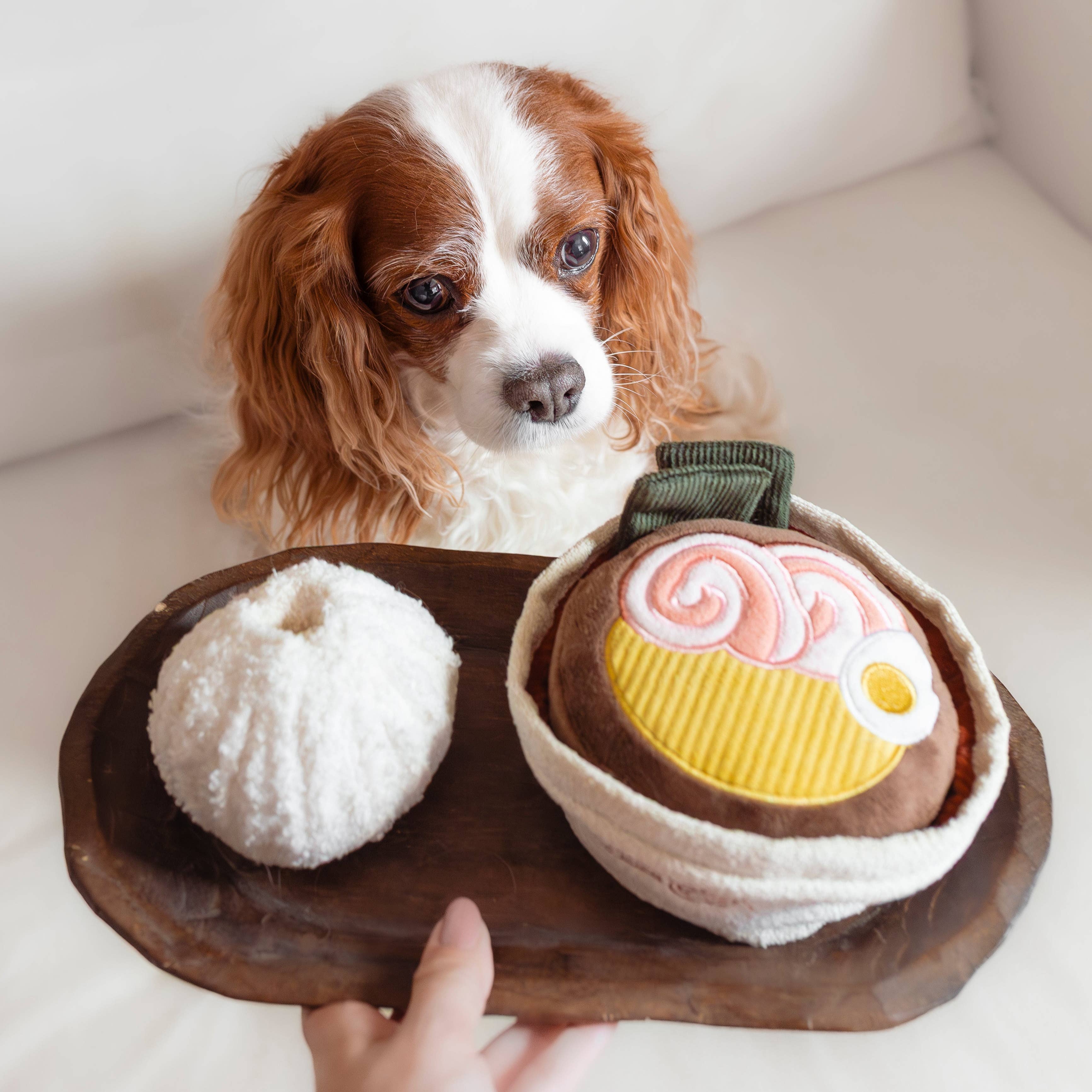RAMEN // ENRICHMENT DOG TOY