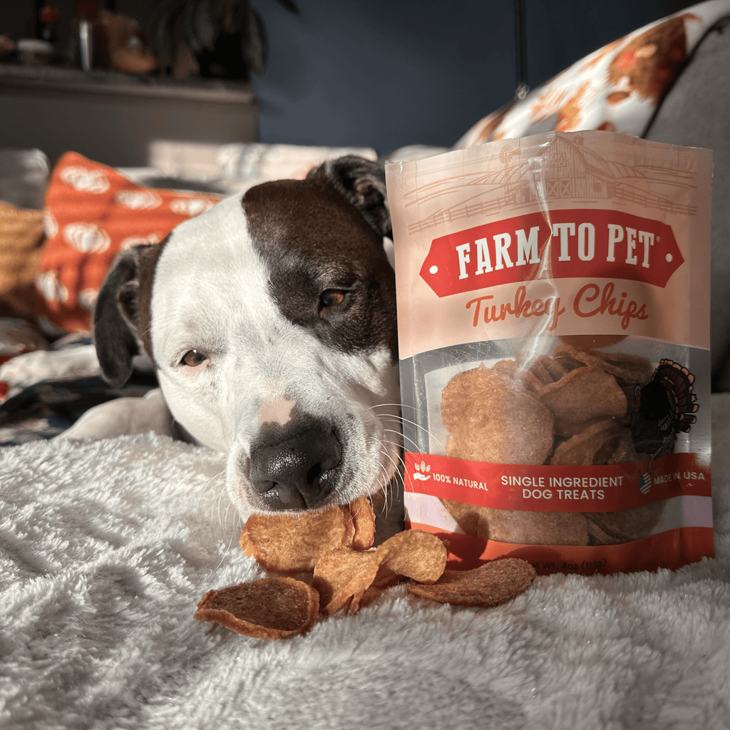 Turkey Chips Dog Treats: 12oz