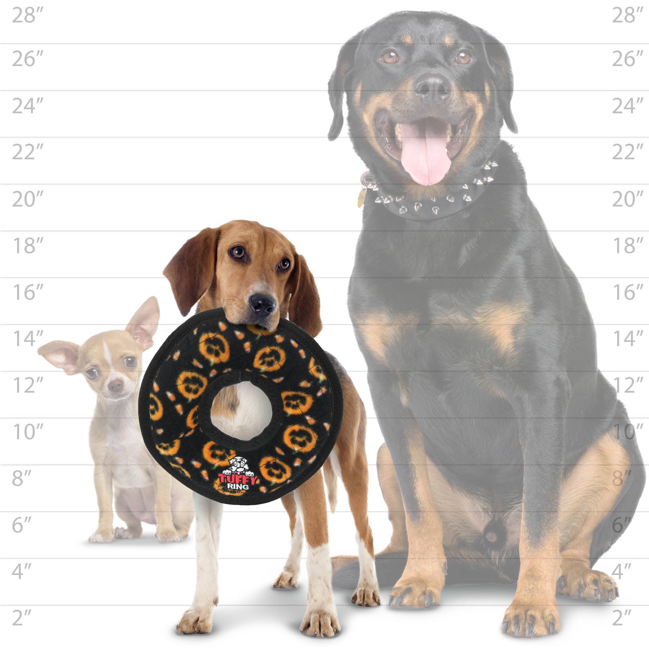 Tuffy Holiday Medium Ring Pumpkin, Durable Squeaky Dog Toy