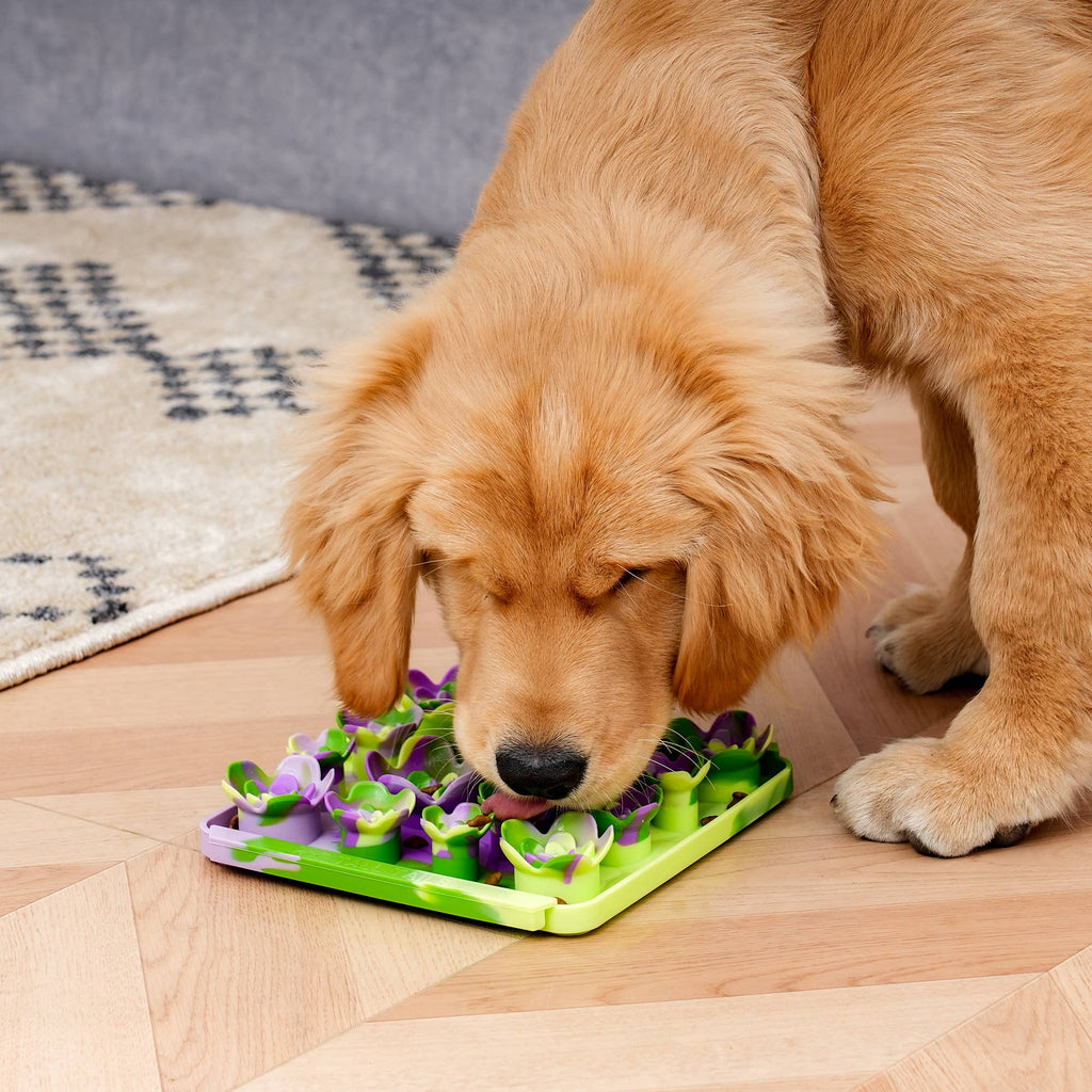 Tall Tails Succulent Garden Foraging Mat for Dogs