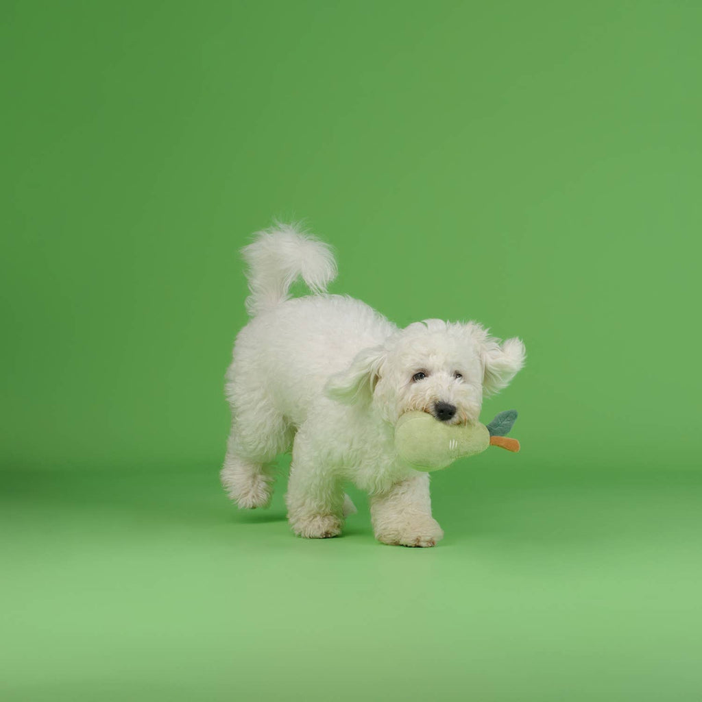 CHEWFFON Fruit Plush Squeaky Dog Toy – Strawberry, Lemon or Pear
