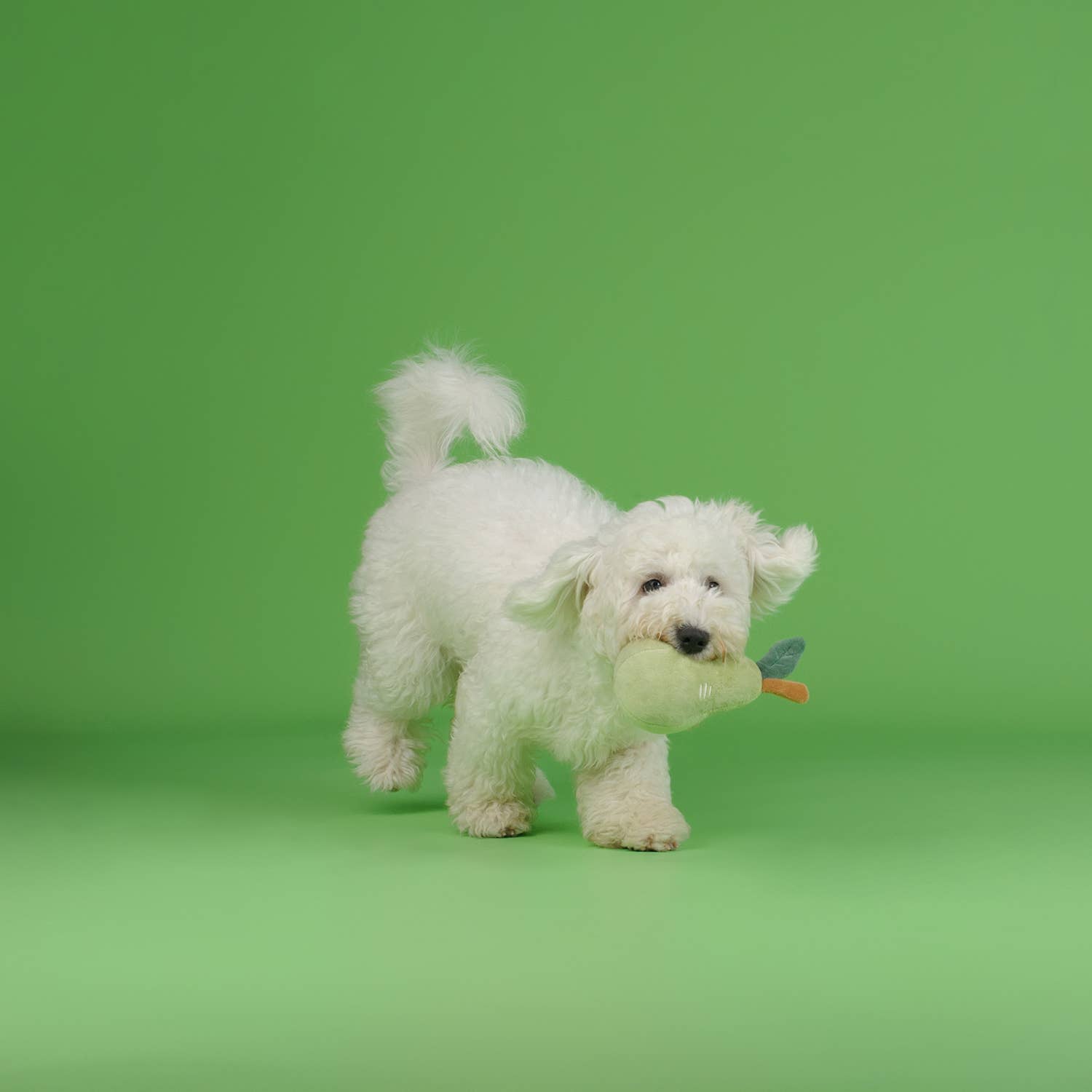 CHEWFFON Fruit Plush Squeaky Dog Toy – Strawberry, Lemon or Pear