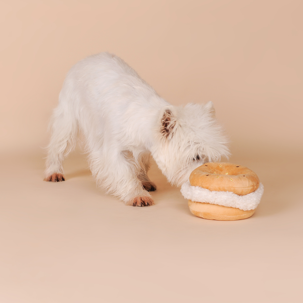 Bagel Plush Squeaky Dog Toy