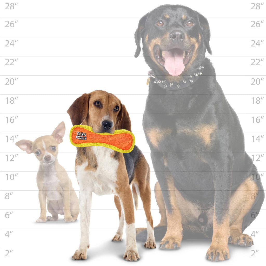 DuraForce Jr Bone Tiger - Orange, Durable, Squeaky Dog Toy