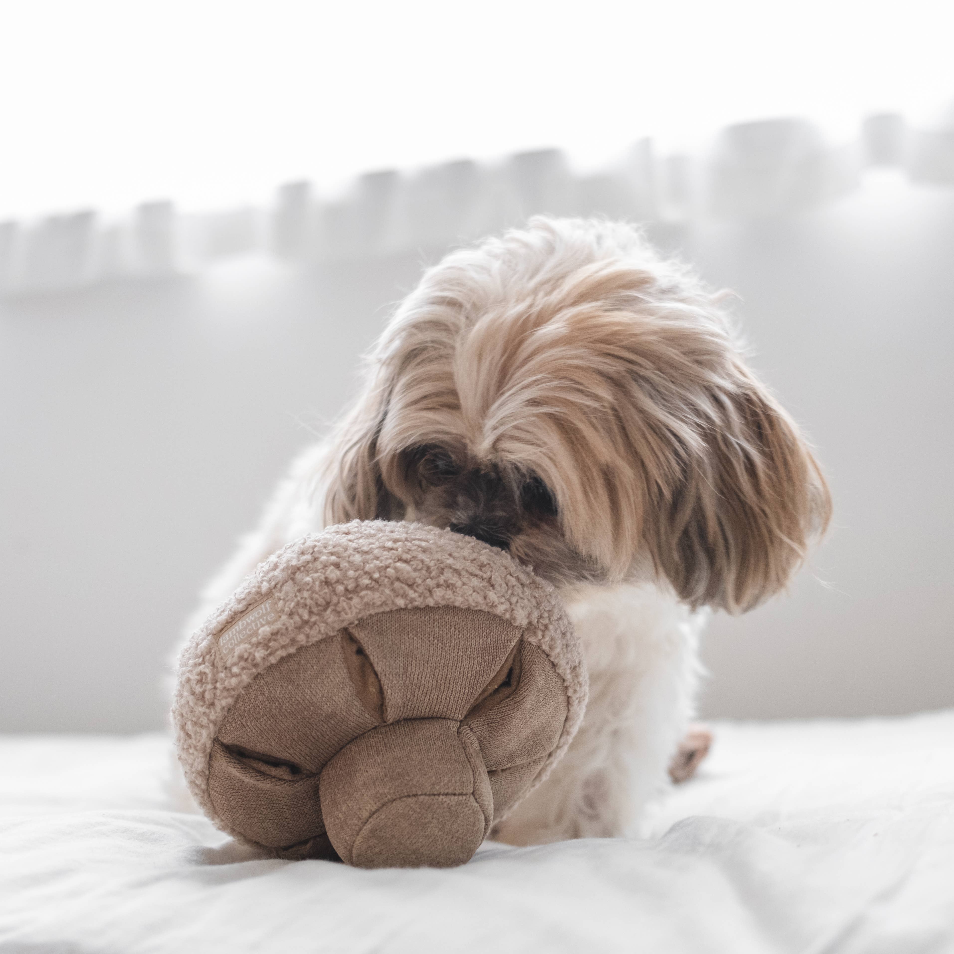 GUU // OAT // ENRICHMENT DOG TOY // SNUFFLE TOY: Small
