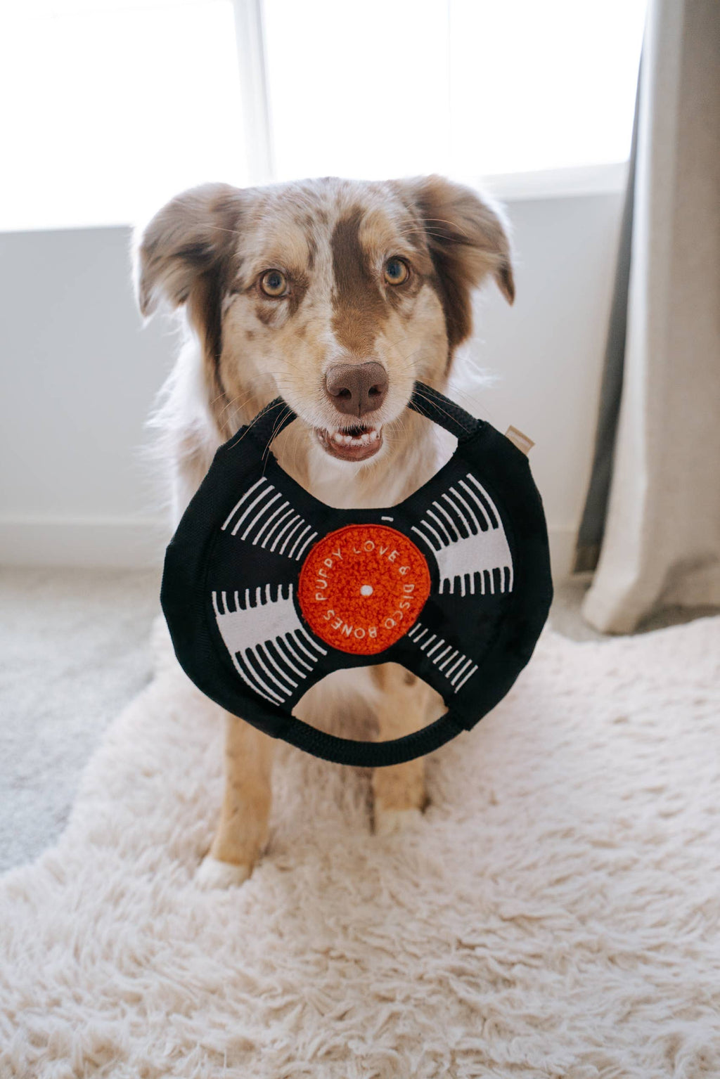 BARK TO BEAT // ENRICHMENT DOG TOY // TUG + SNUFFLE + FETCH