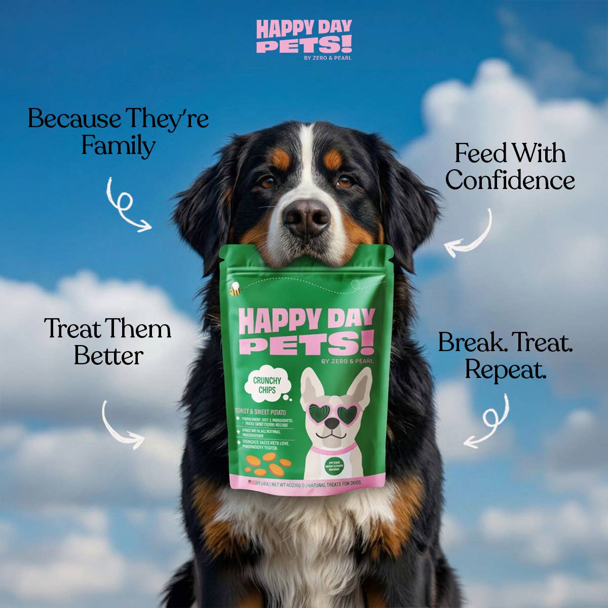Happy Day Pets Turkey & Sweet Potato Chips Dog Treats
