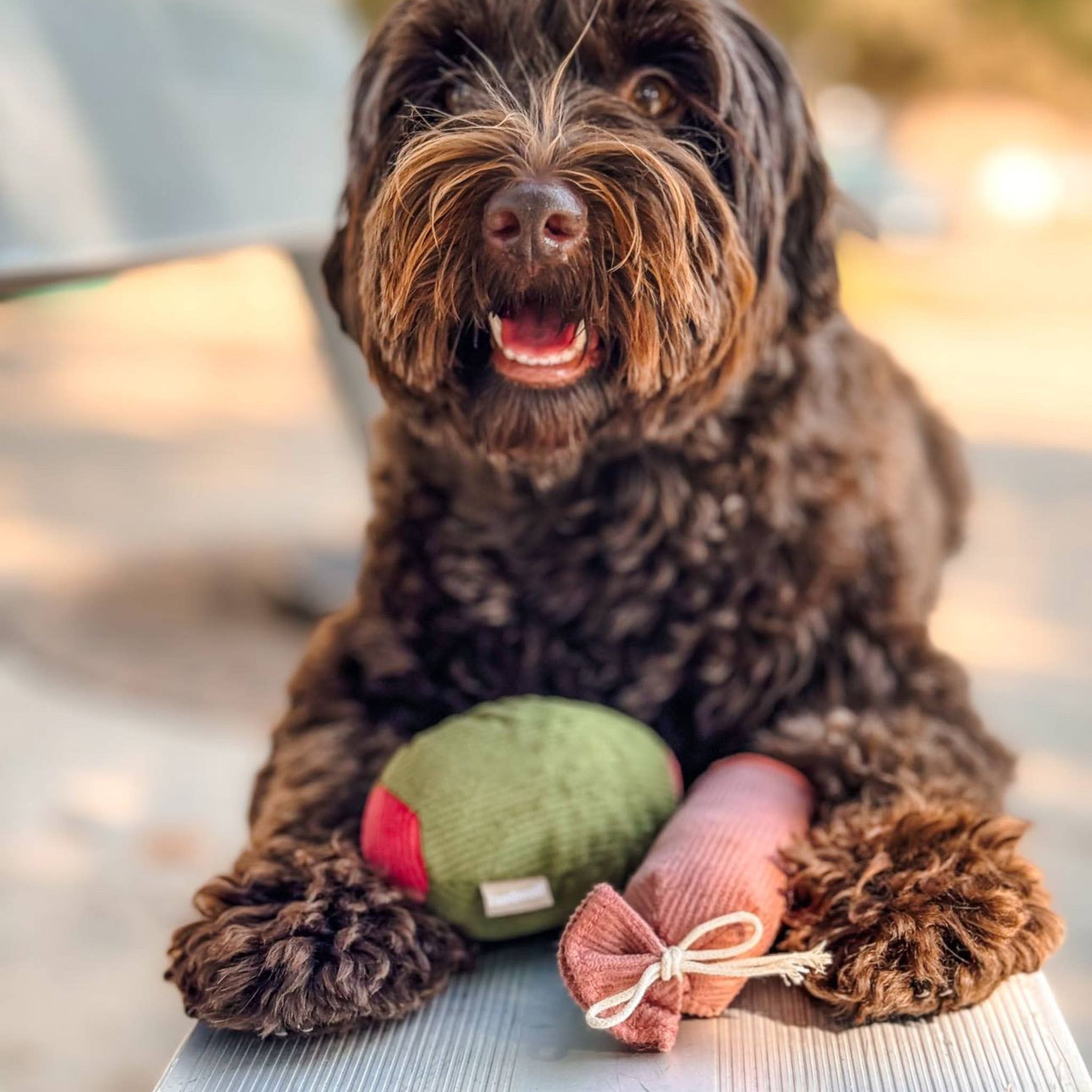 Olive & Salami