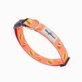 HugSmart Pet - Dog Collar | FoodieTime