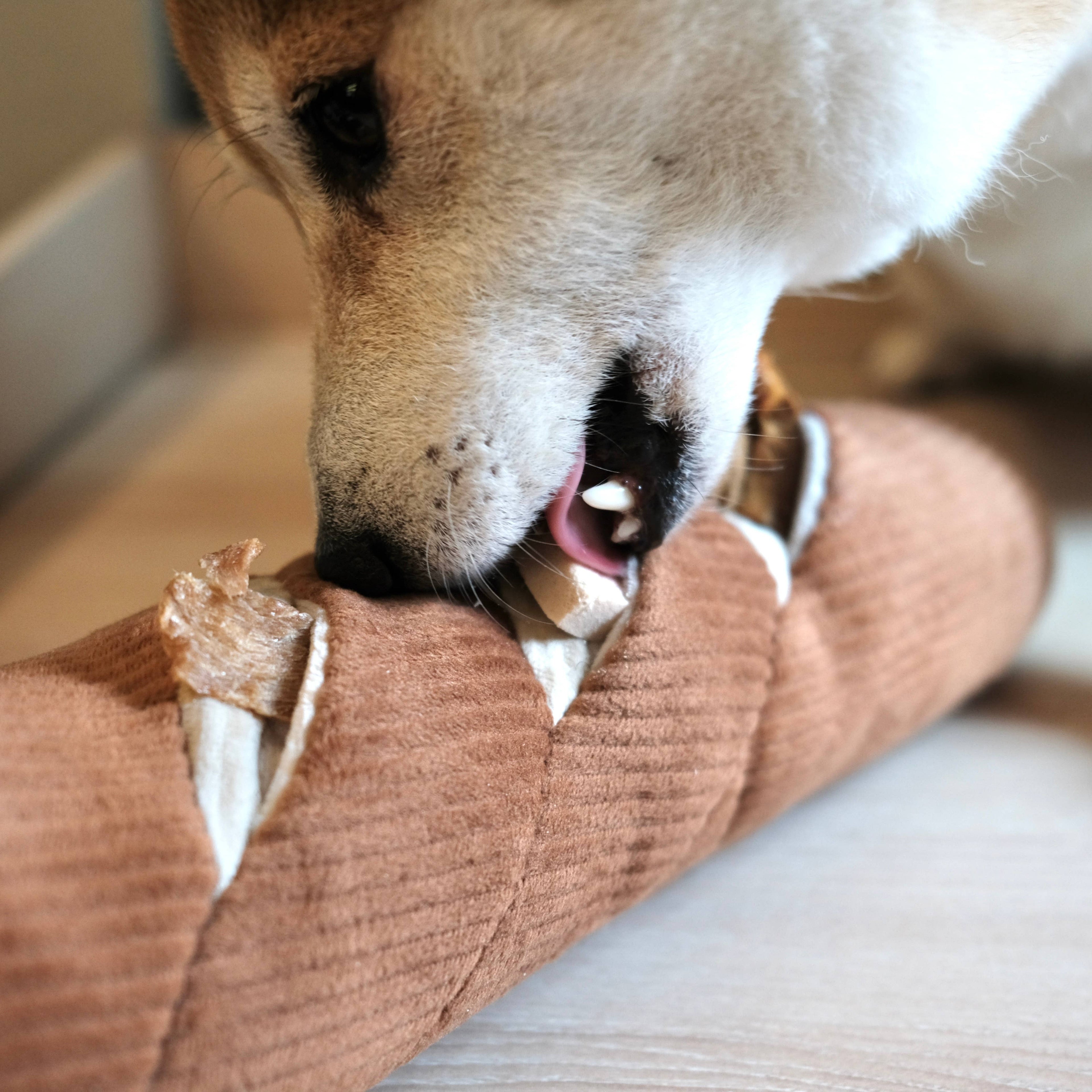 Baguette in a Bag